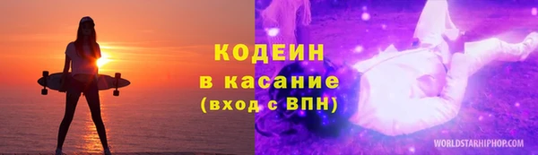 гашик Снежногорск