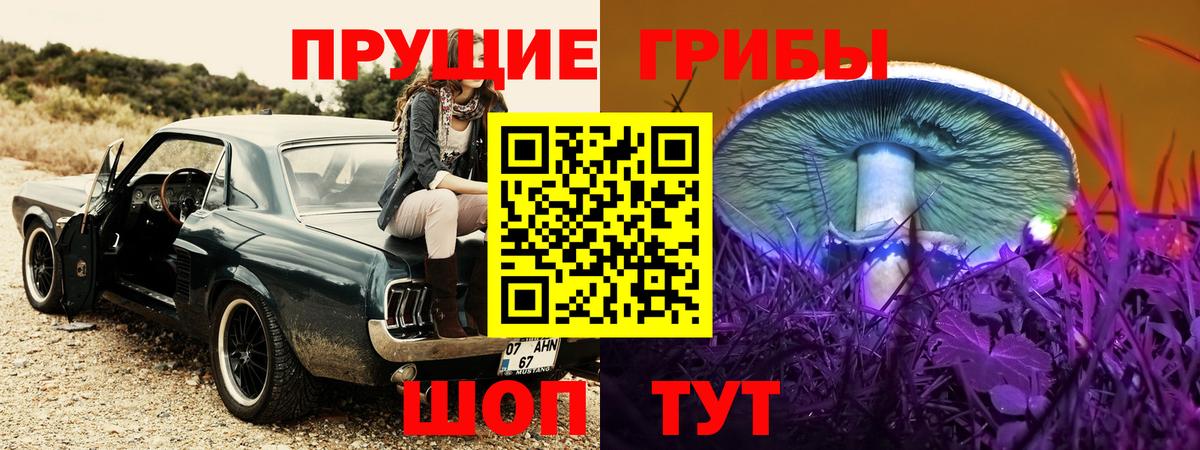 наркошоп  Галлюциногенные грибы Cubensis  Вход с VPN  Киреевск 